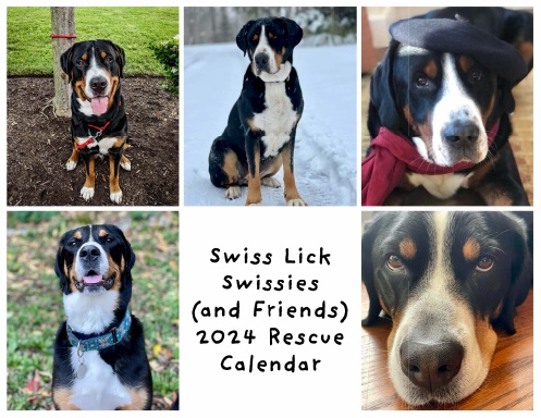 Swiss Luck Swissies Calendar